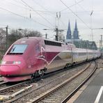 Der THALYS in Köln