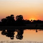 Der Thamalakane Fluss bei Maun