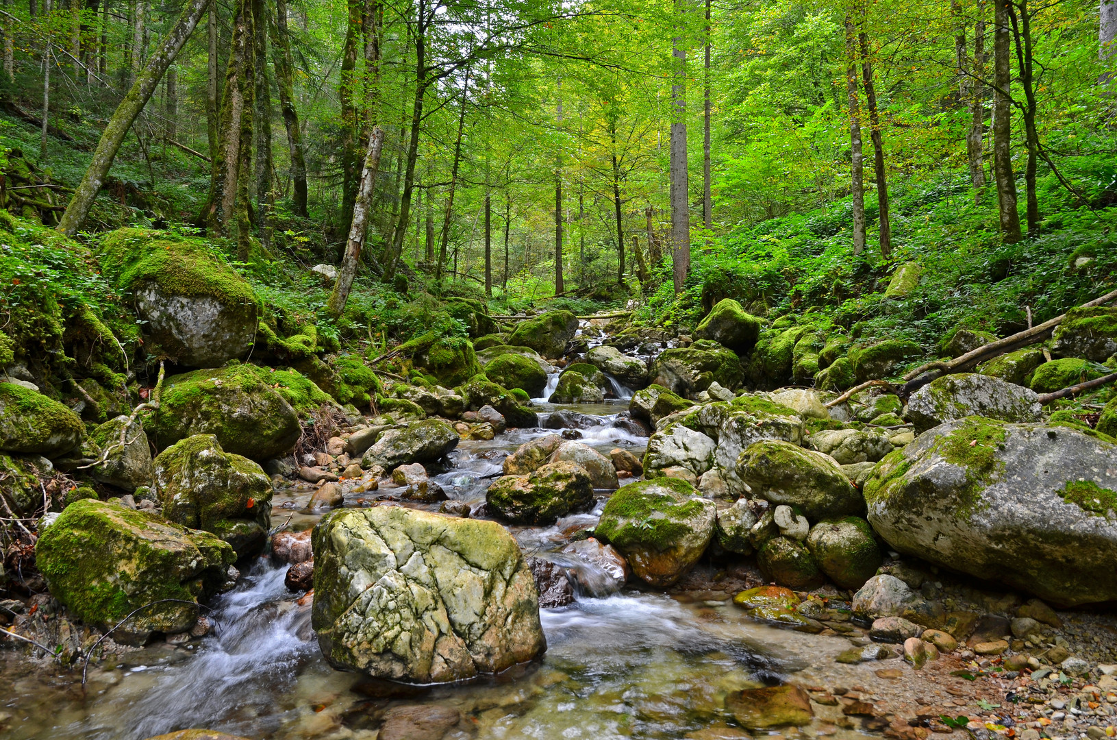 Der Thoraubach bei Ruhpolding