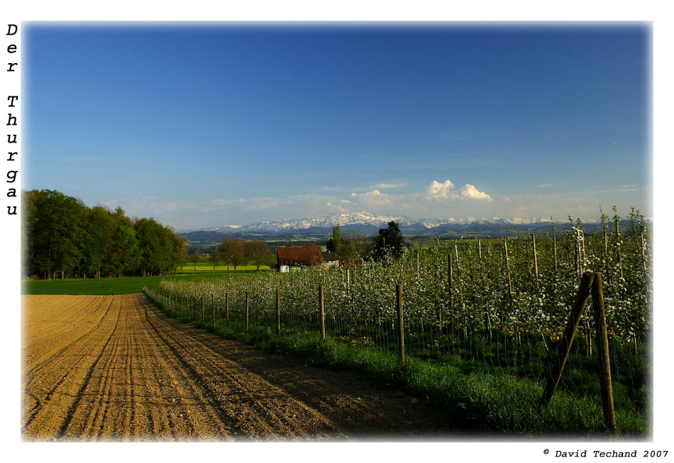 Der Thurgau