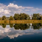 Der Tiber als Spiegel