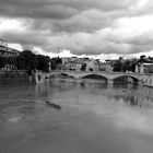 Der Tiber