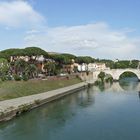 Der Tiber in Rom