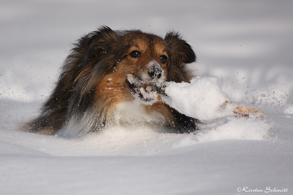 Der Tiefschnee