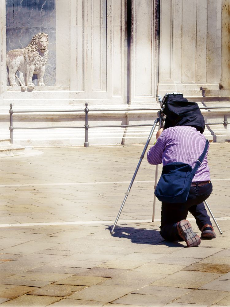 Der Tierfotograf