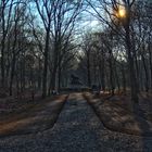 Der Tiergarten - Berlin