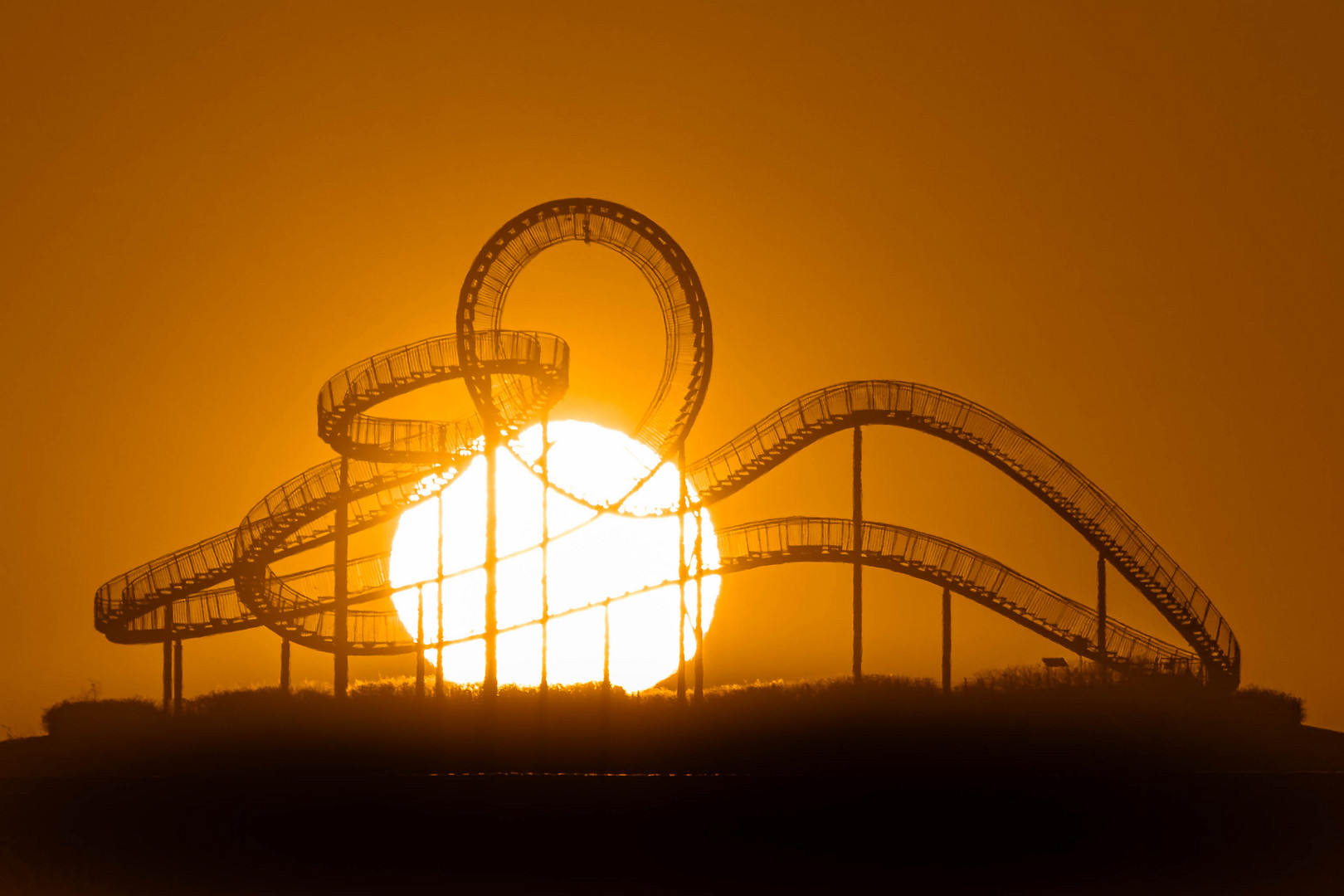 Der Tiger and Turtle 