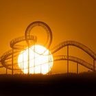 Der Tiger and Turtle 