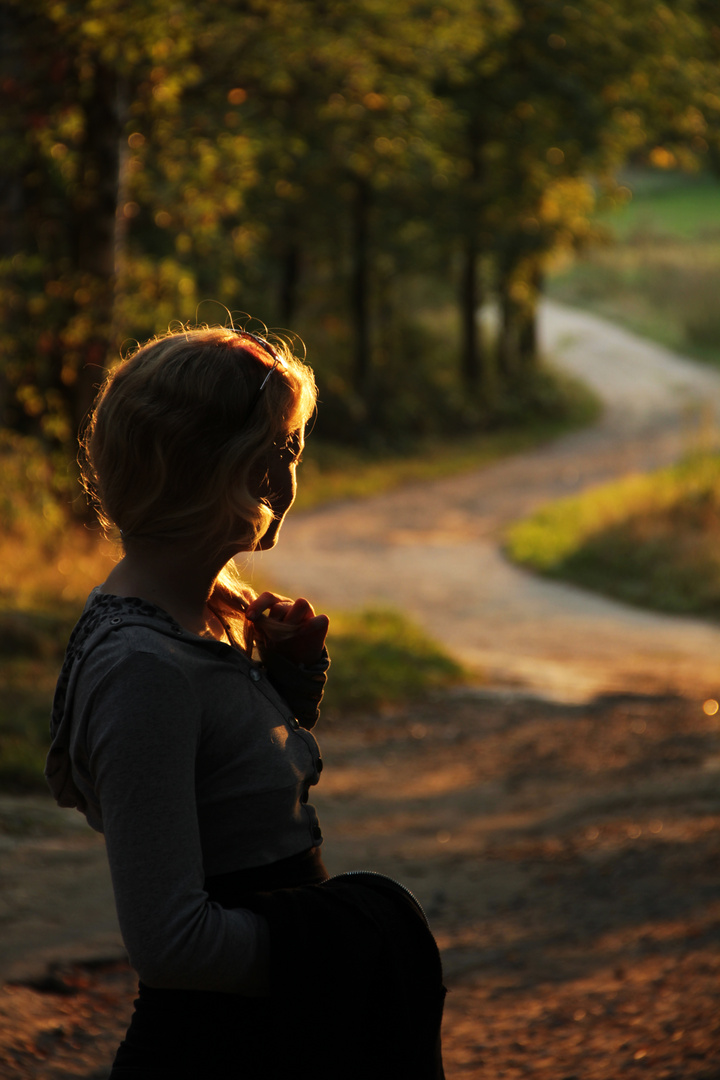 Der Titel dieses Fotos lautet nicht "Ungewisse Wege", "Die Sonne liegt vor dir" oder Ähnliches.