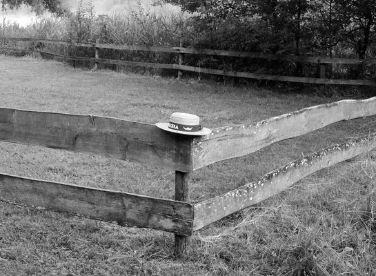 Der Titel trägt Hut