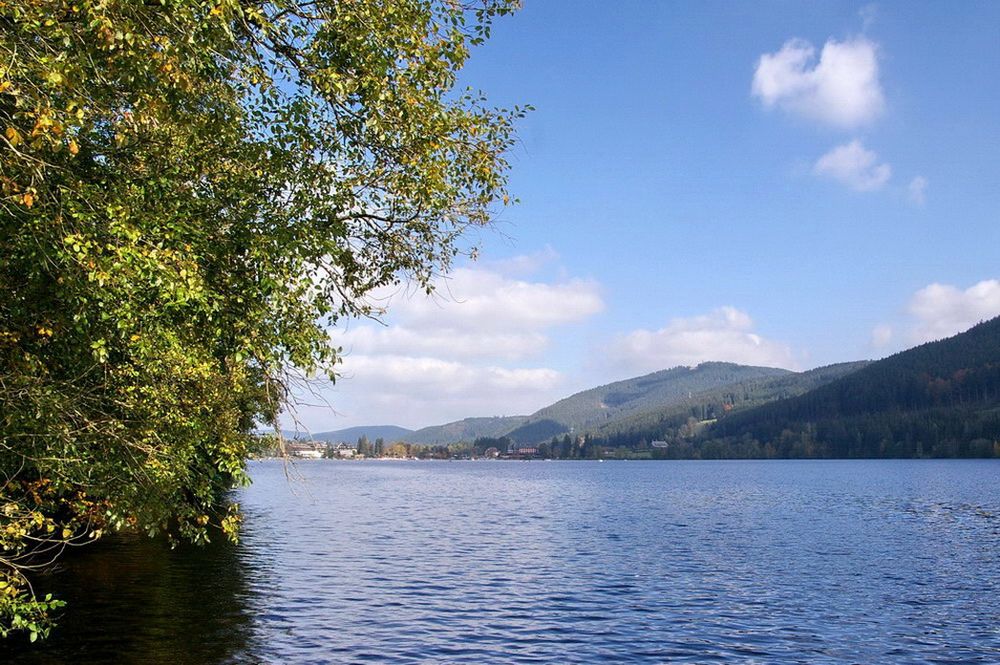 Der Titisee im Schwarzwald