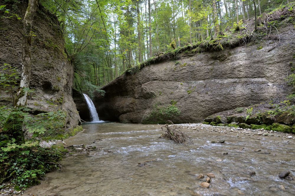 Der Tobelbach in einem Seitental des Tösstals bei Rikon