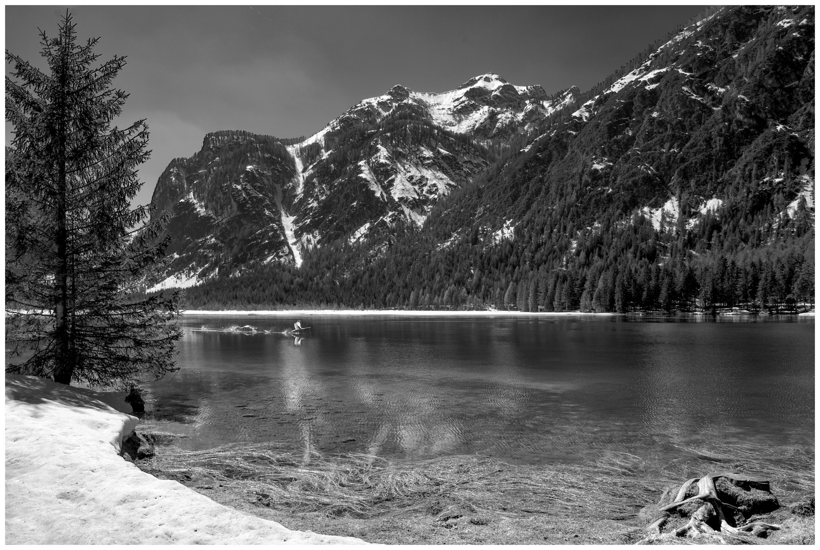 Der Toblacher See im Hochpustertal