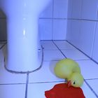 Der Tod der WC-Ente