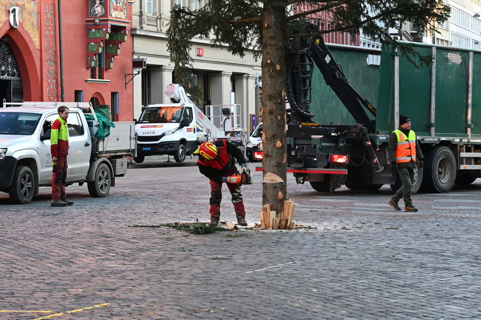 der Tod des grossen Weihnachtsbaums - 1281