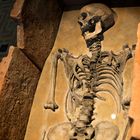 Der Tod im Museum