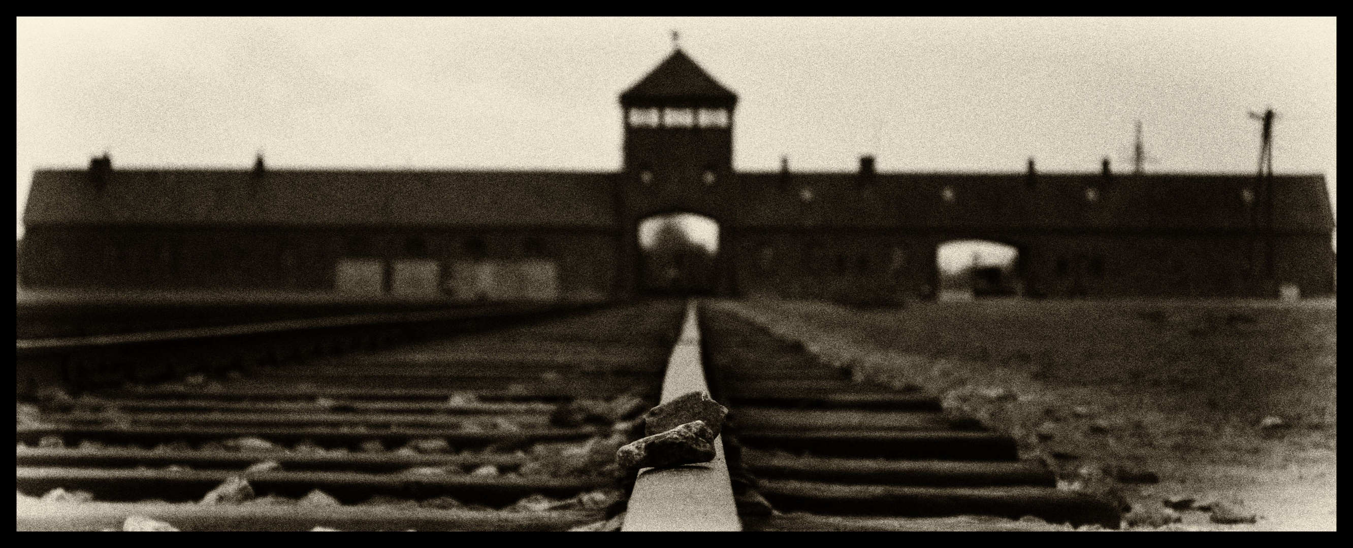 Der Tod in Auschwitz hatte viele Seiten...