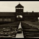 Der Tod in Auschwitz hatte viele Seiten...