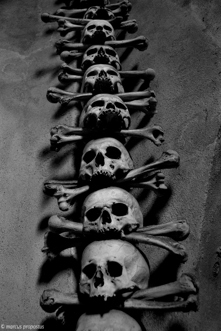 Download Alle gleich Free HD