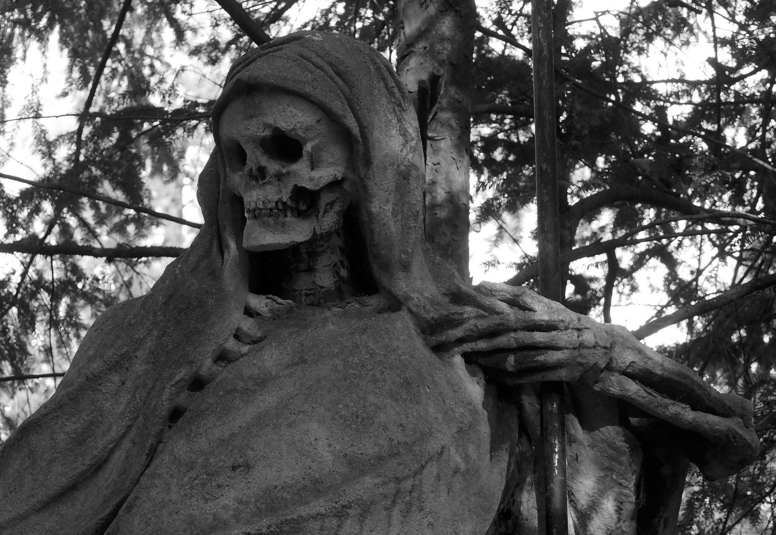 Der Tod vom Melatenfriedhof...