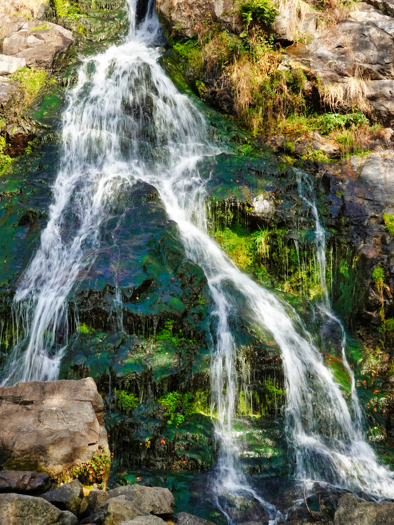 Der Todtnauer Wasserfall 