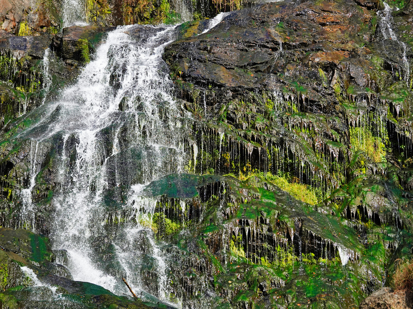 Der Todtnauer Wasserfall 