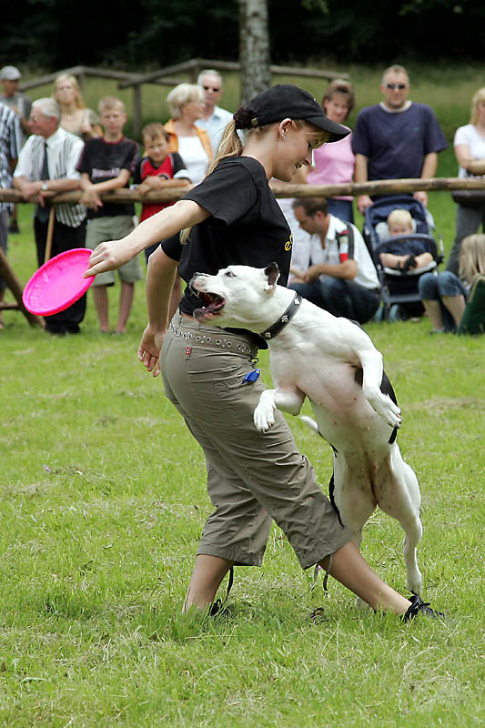 "der Tollste"  vom 1. Aschaffenburger Hundefest