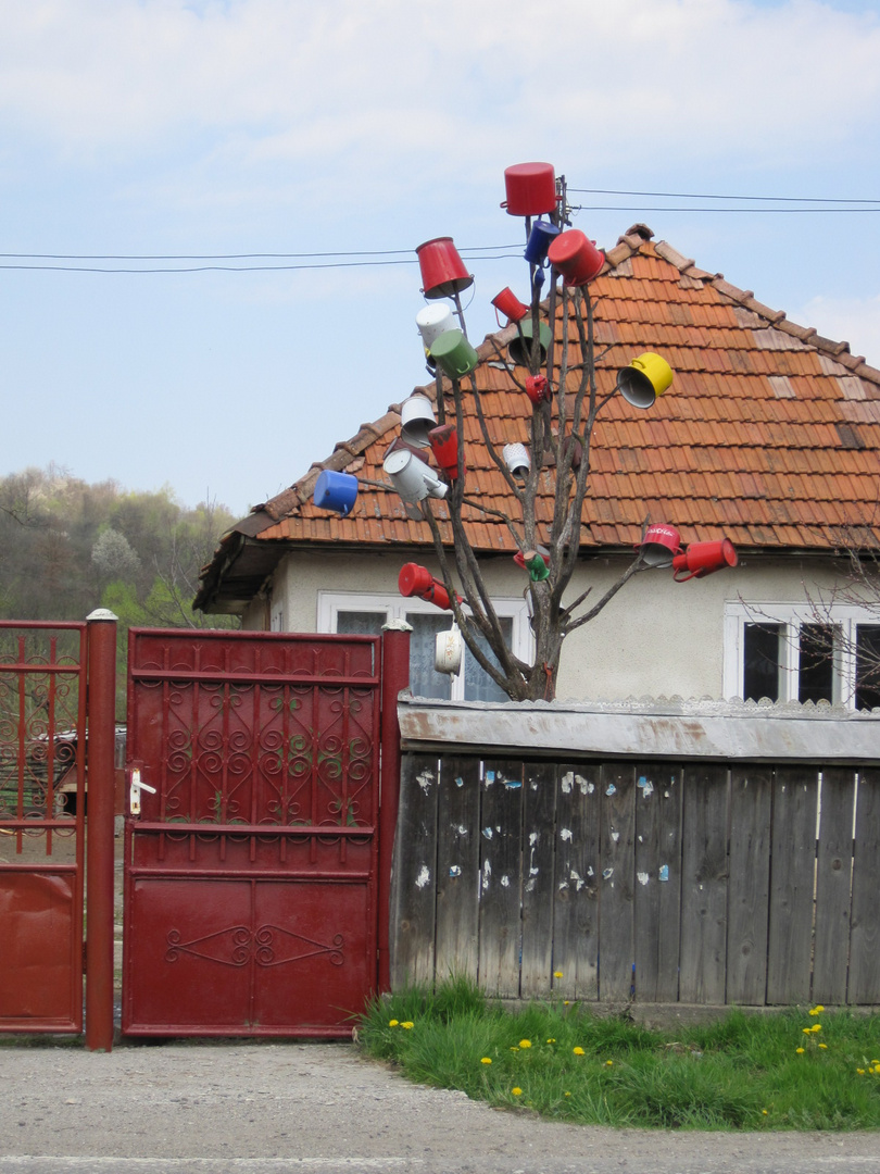 Der Topfbaum