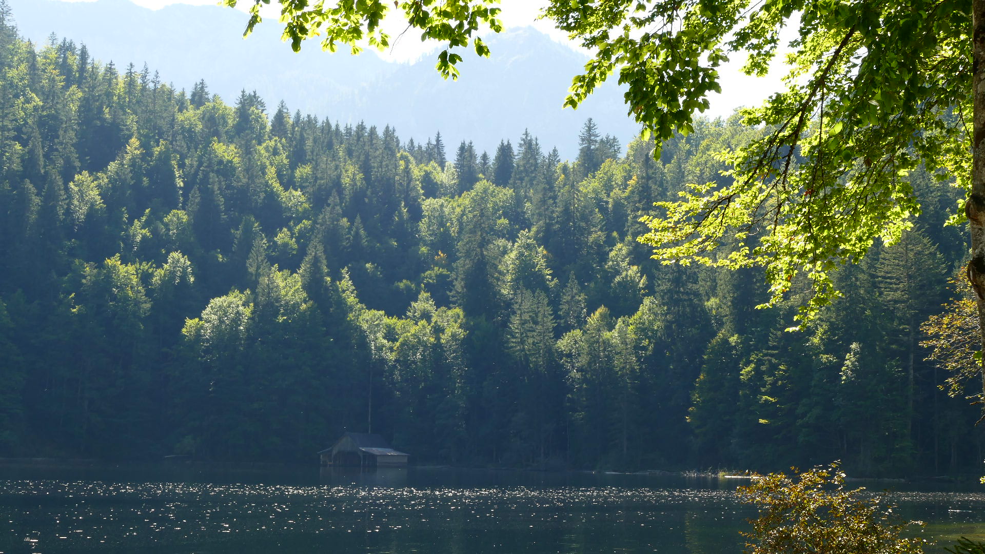 Der Toplitzsee im Gegenlicht