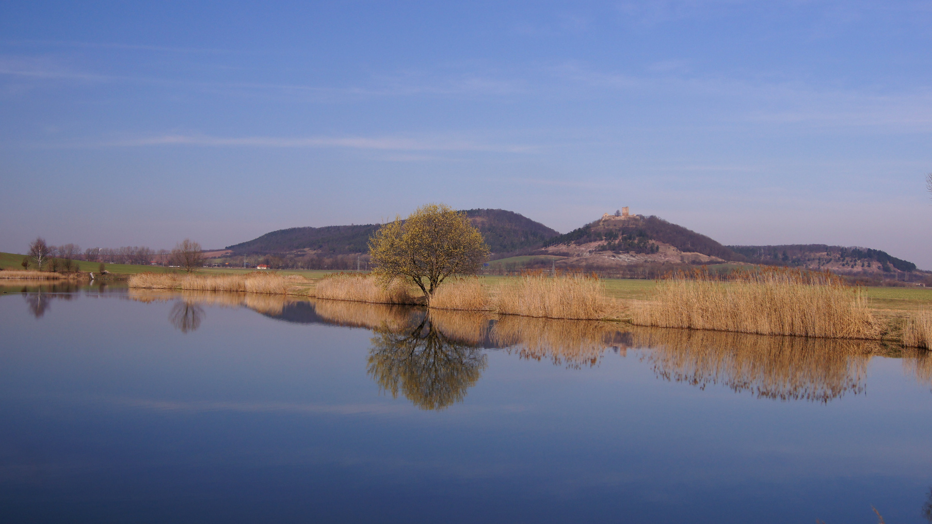 Der Torfstich mit Blick auf die Burg Gleichen (Auch Wanderslebener Burg)