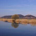 Der Torfstich mit Blick auf die Burg Gleichen (Auch Wanderslebener Burg)