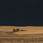 Der Tornado von Drumheller