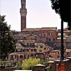 Der Torre del Mangia