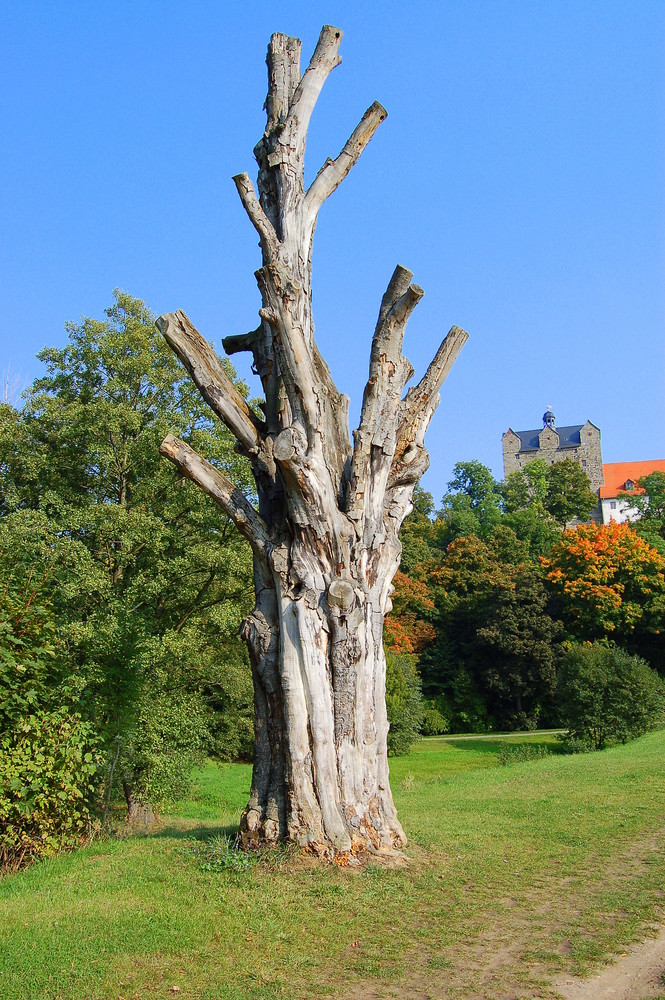 Der totale Herbst