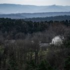 Der tote Baum