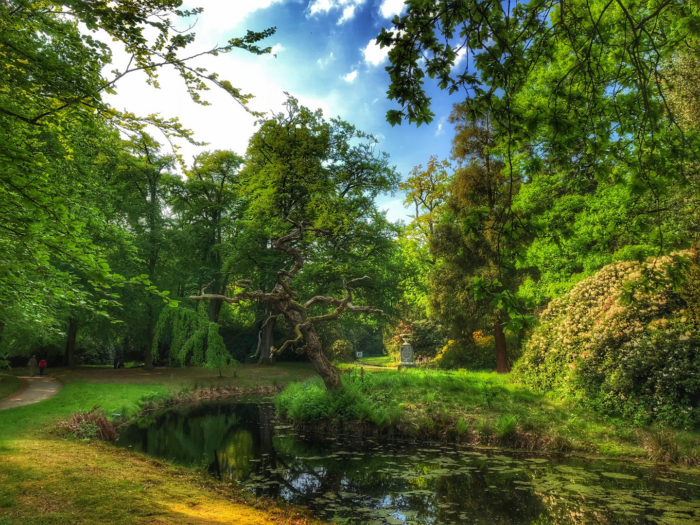 Der tote Baum im Schlosspark Lütetsburg