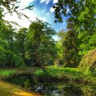 Der tote Baum im Schlosspark Lütetsburg