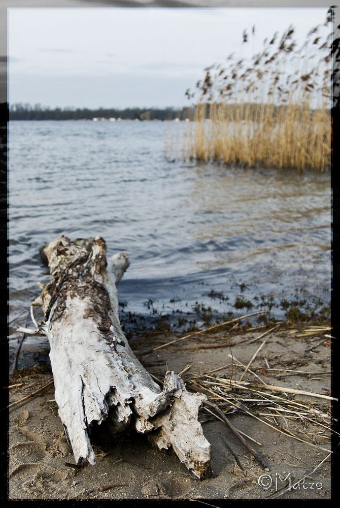 Der tote im See