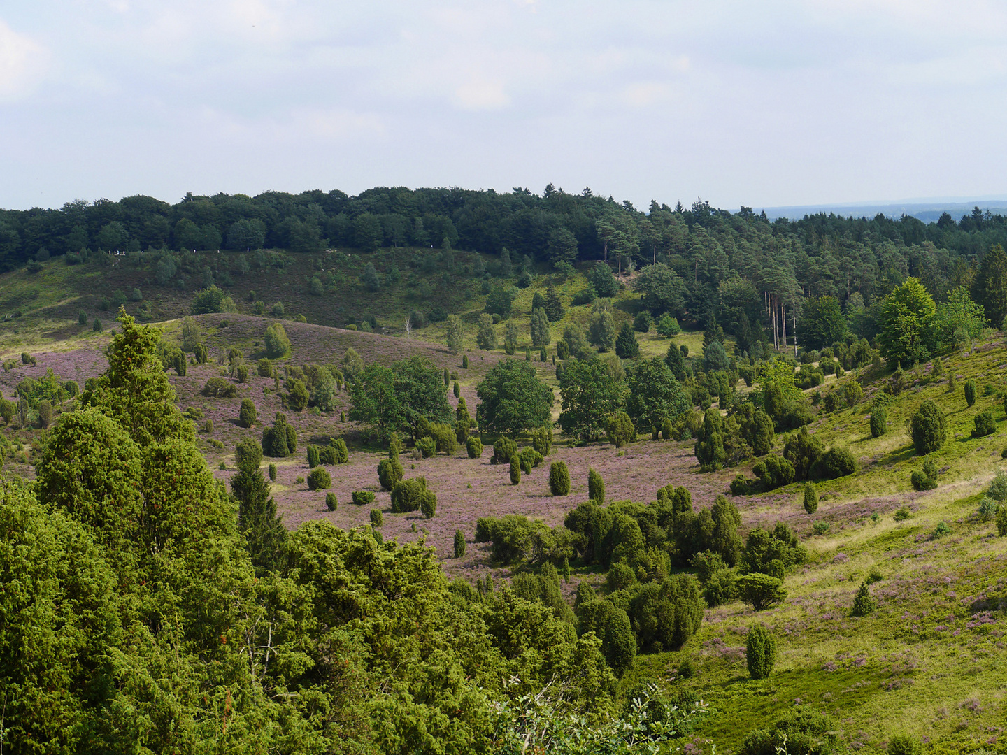 Der Totengrund