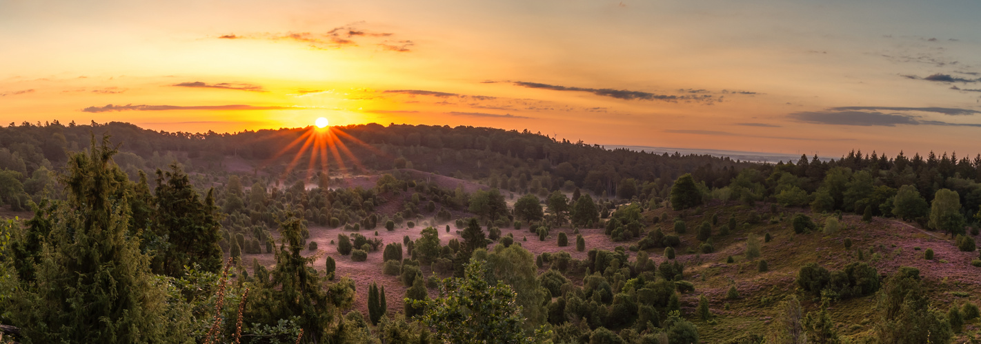 Der Totengrund - Lüneburger Heide