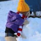 Der Tourist im Schnee.............