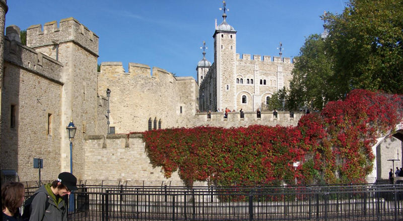 Der Tower im Herbst