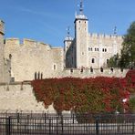 Der Tower im Herbst