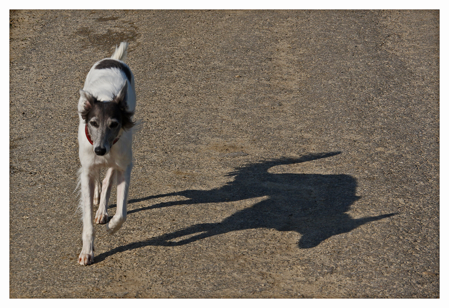 Der Trabi und sein Schatten