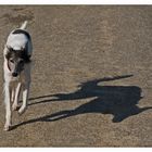 Der Trabi und sein Schatten