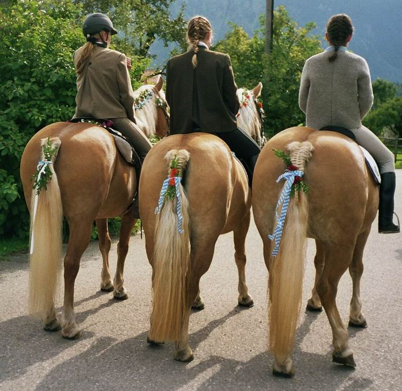 der traditionelle rosstag in rottach egern