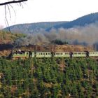 Der Traditionszug im Harz