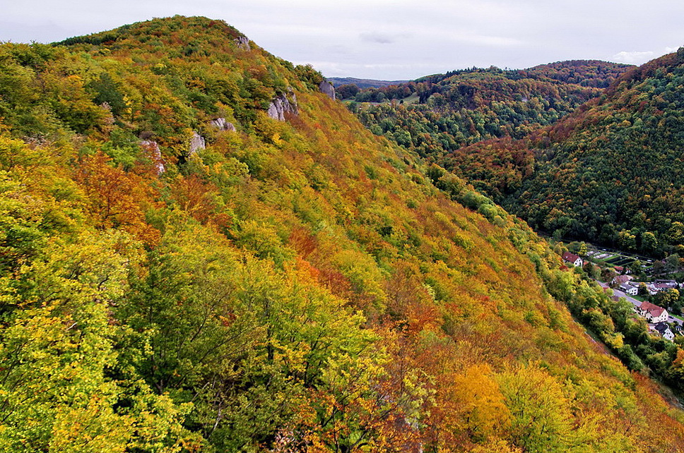 Der Traifelberg treibt es bunt