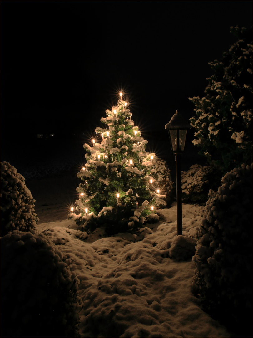 Der Traum der weißen Weihnacht...