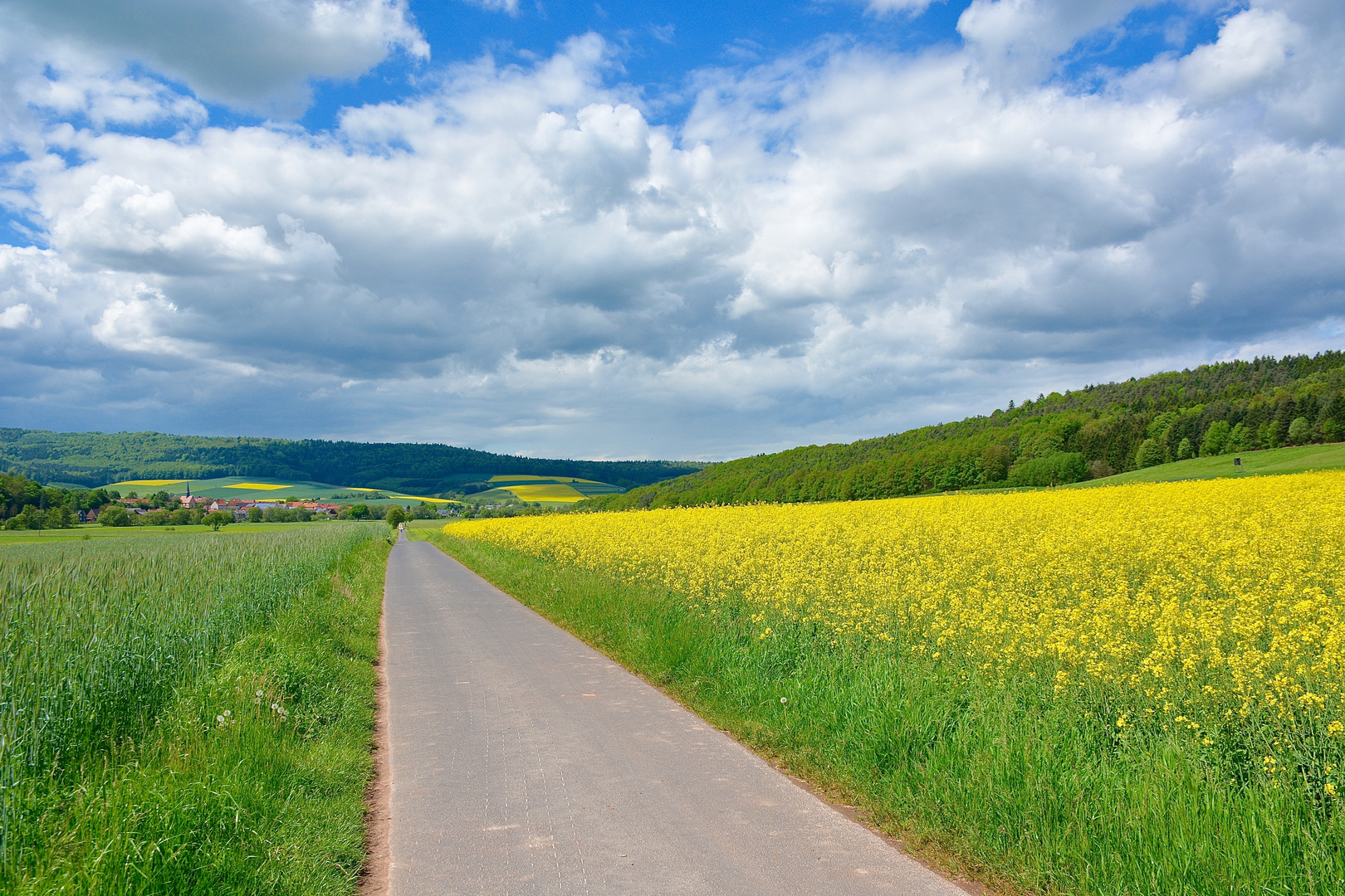 Der Traum des Radfahrers und Fotografen